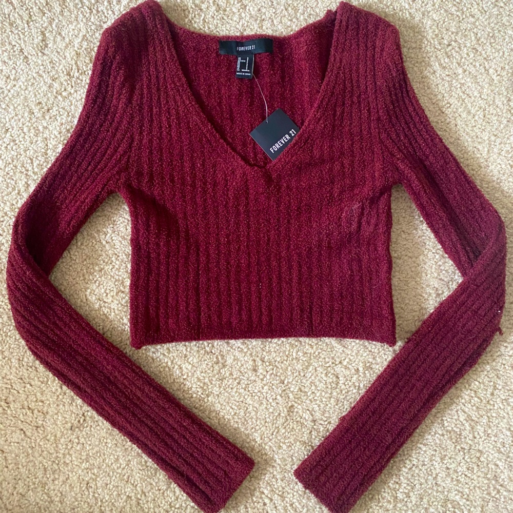 Forever 21 Long-Sleeved Crop Top